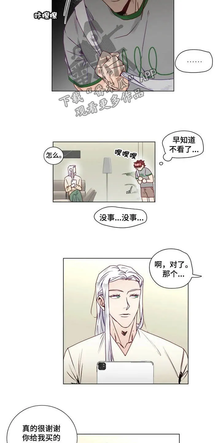 神的祭品先生漫画漫画,第11章：特别的存在2图