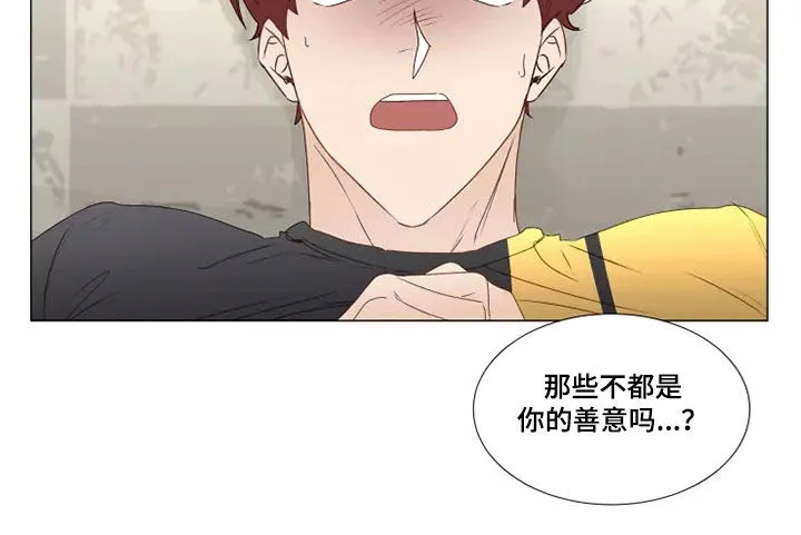 神的祭品先生漫画漫画,第33章：破门而入4图