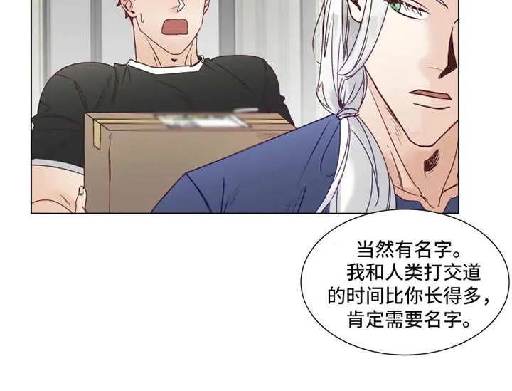 神的祭品先生漫画漫画,第9章：礼物6图