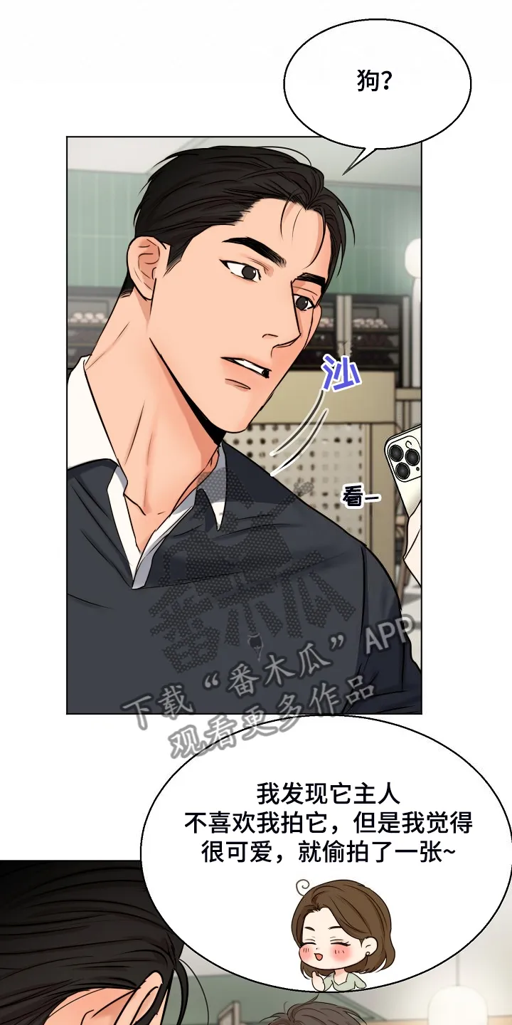 意大利餐厅漫画漫画,第135章：处对象的俩人21图