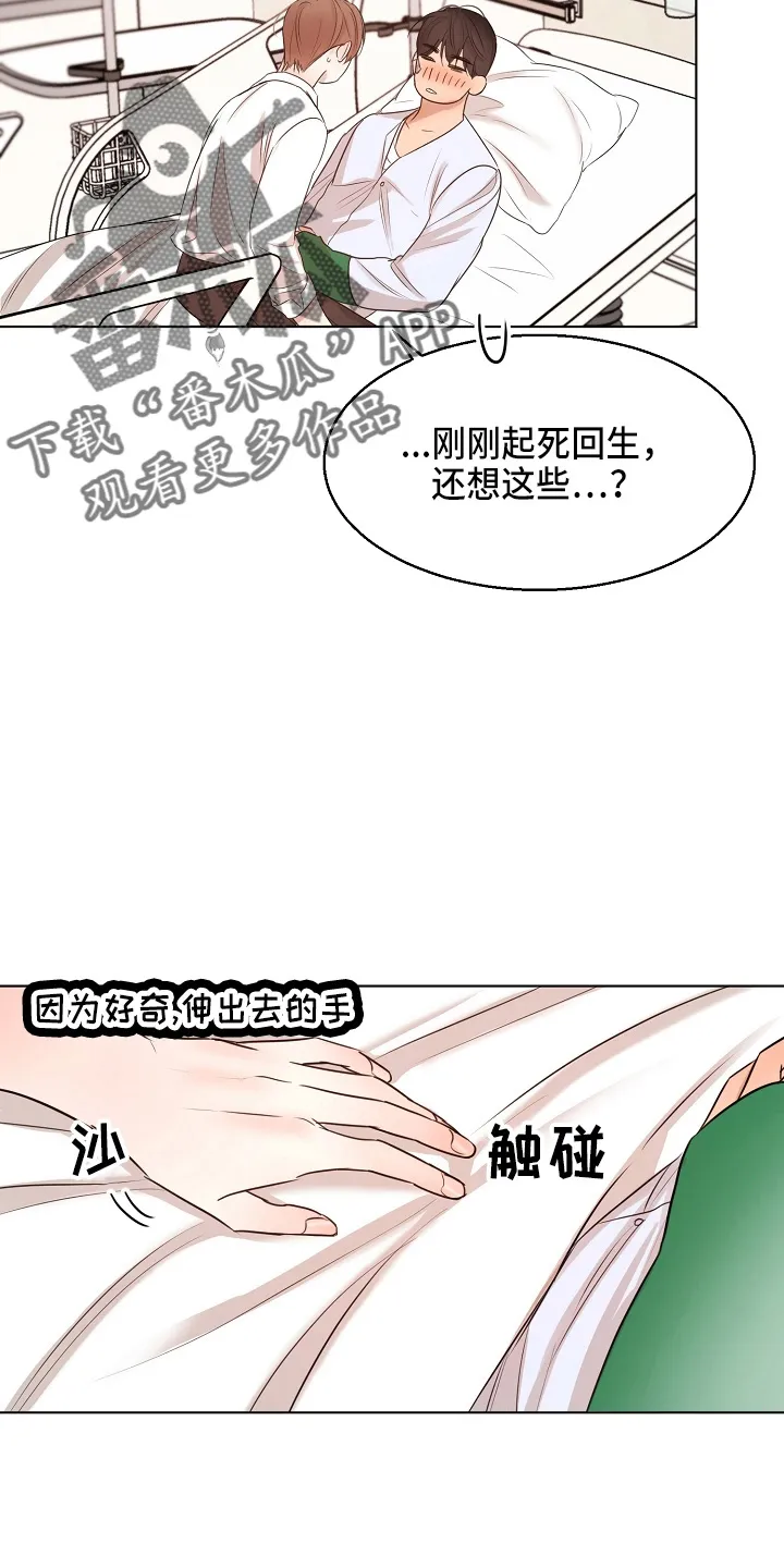 意大利餐厅漫画漫画,第147章：我喜欢你22图