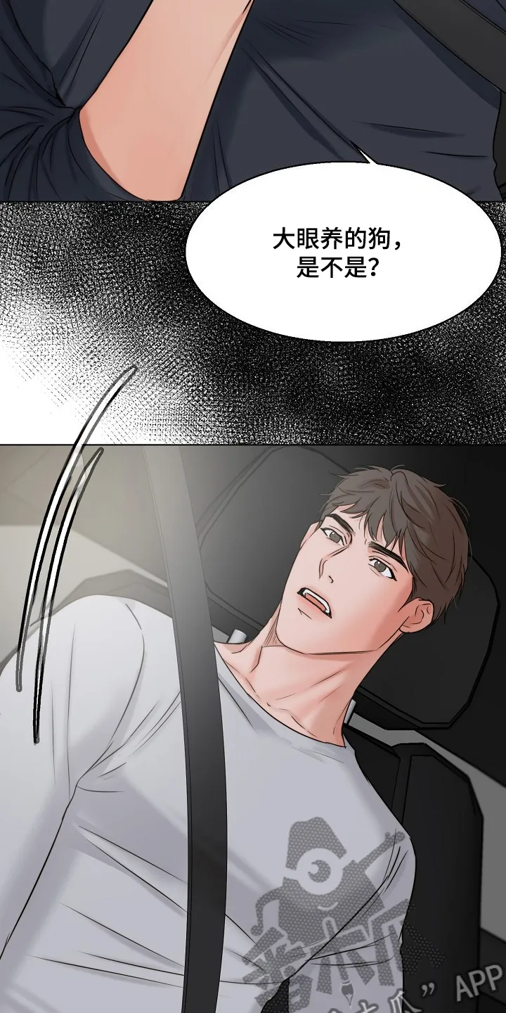 意大利餐厅漫画在线阅读漫画,第136章：不寻常的狗10图
