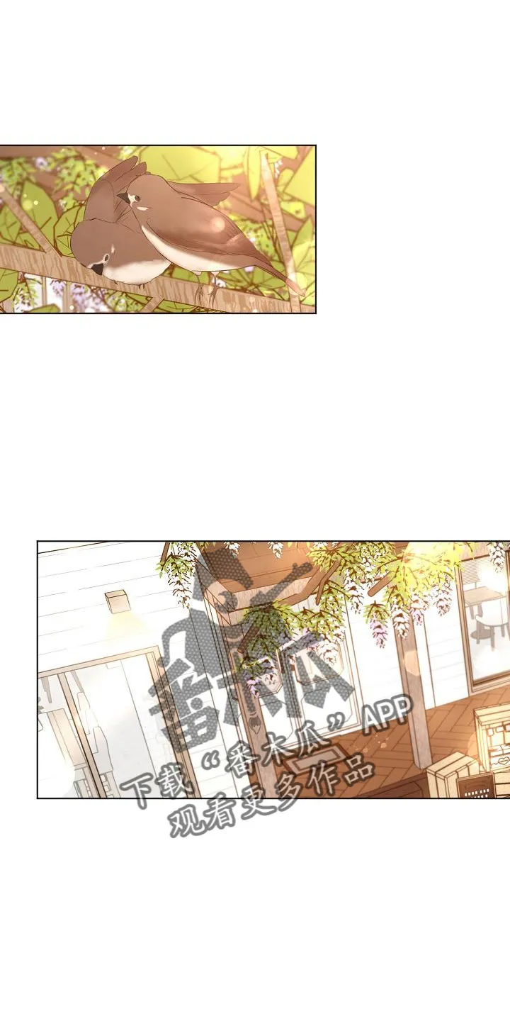 意大利餐厅漫画在线阅读漫画,第156章：期待1图