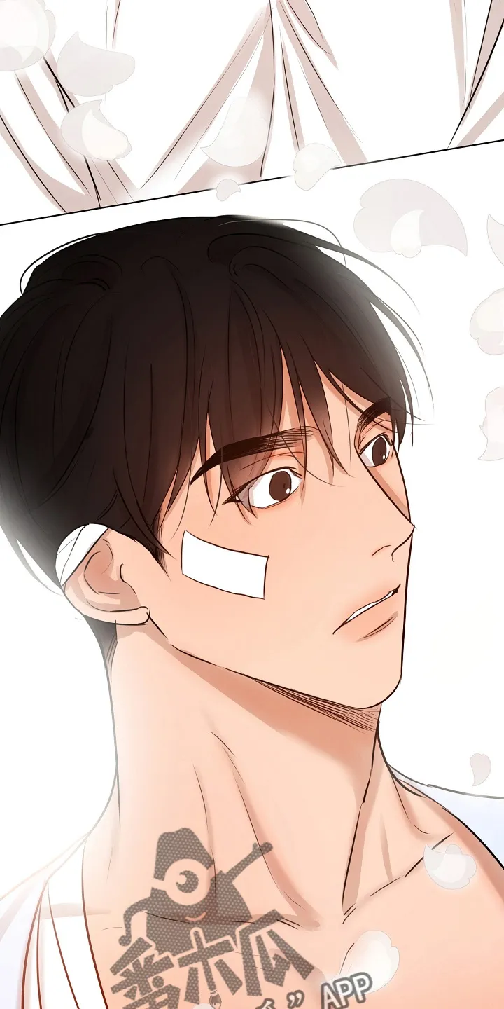 意大利餐厅漫画漫画,第147章：我喜欢你13图