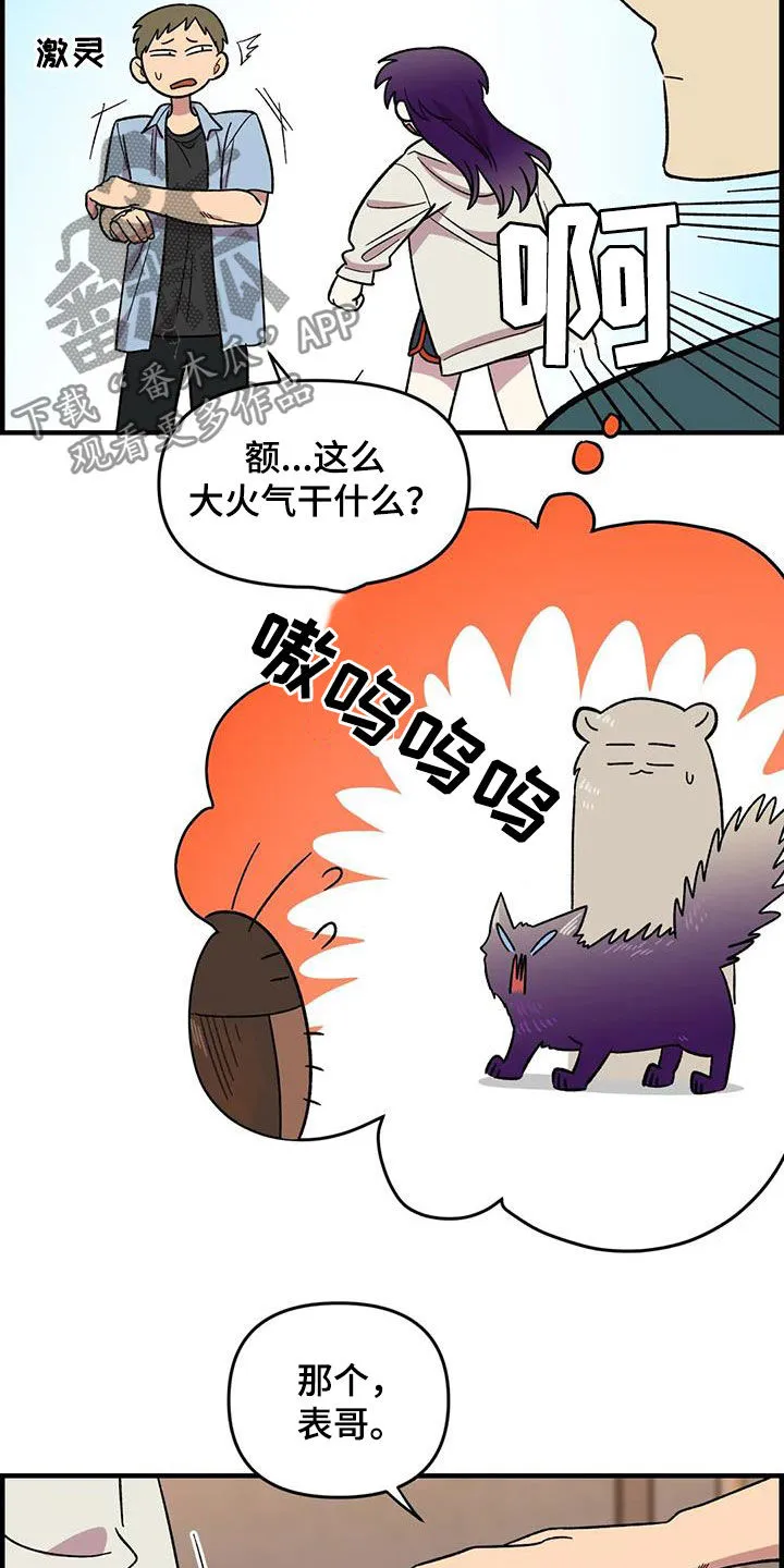 最新少女漫画漫画,第75章：【第二季】实力碾压9图