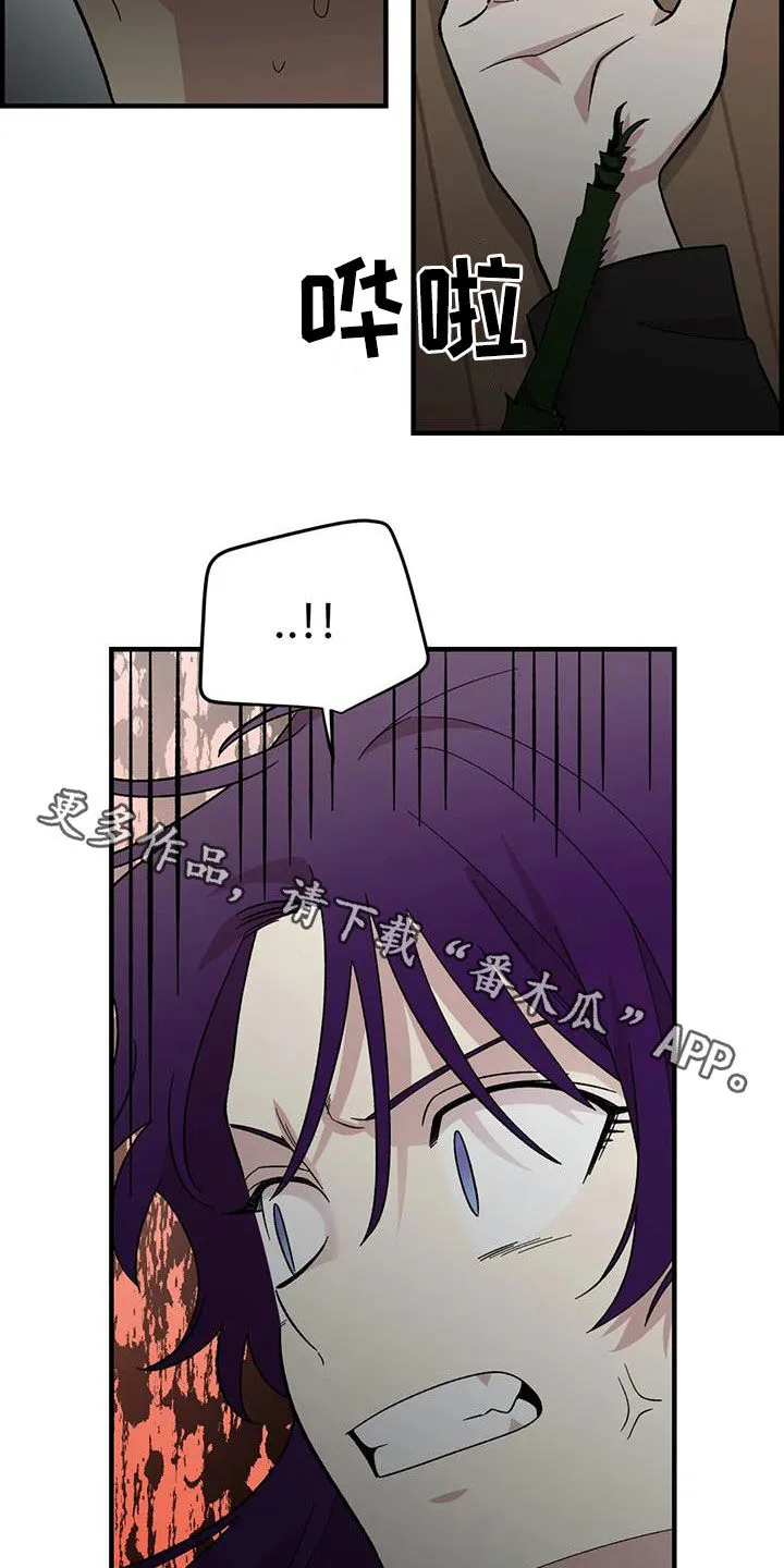 雨后动漫漫画,第80章：【第二季】巨大的虫子20图