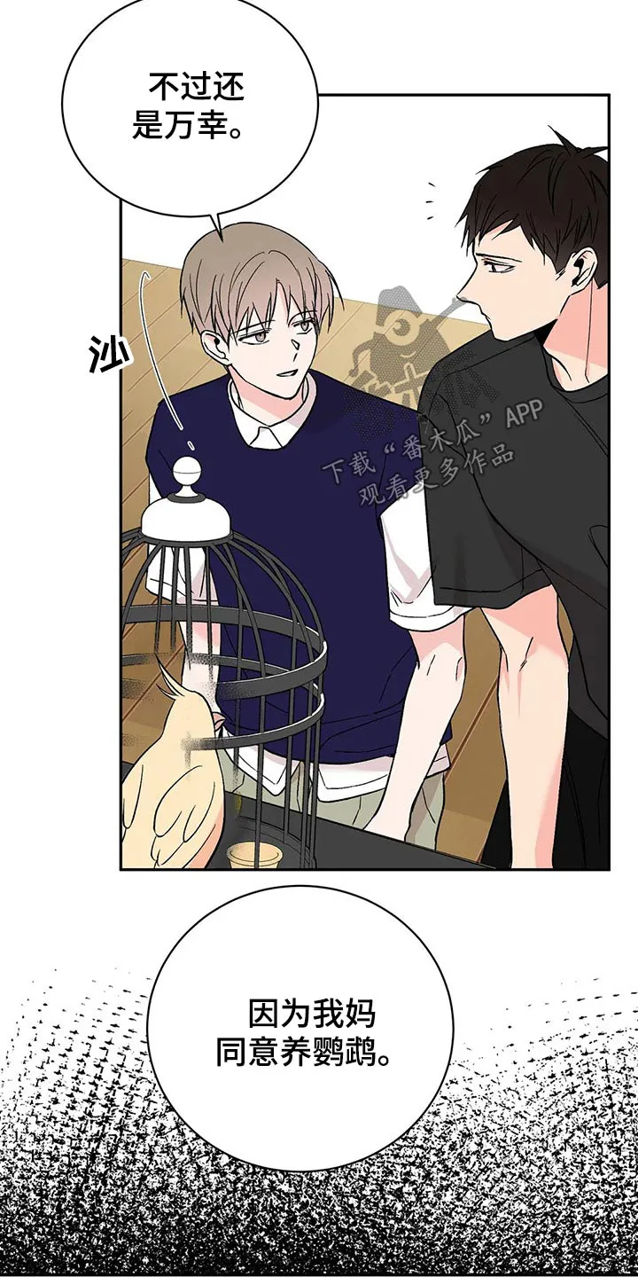 特性转变漫画漫画,第30章：鹦鹉12图