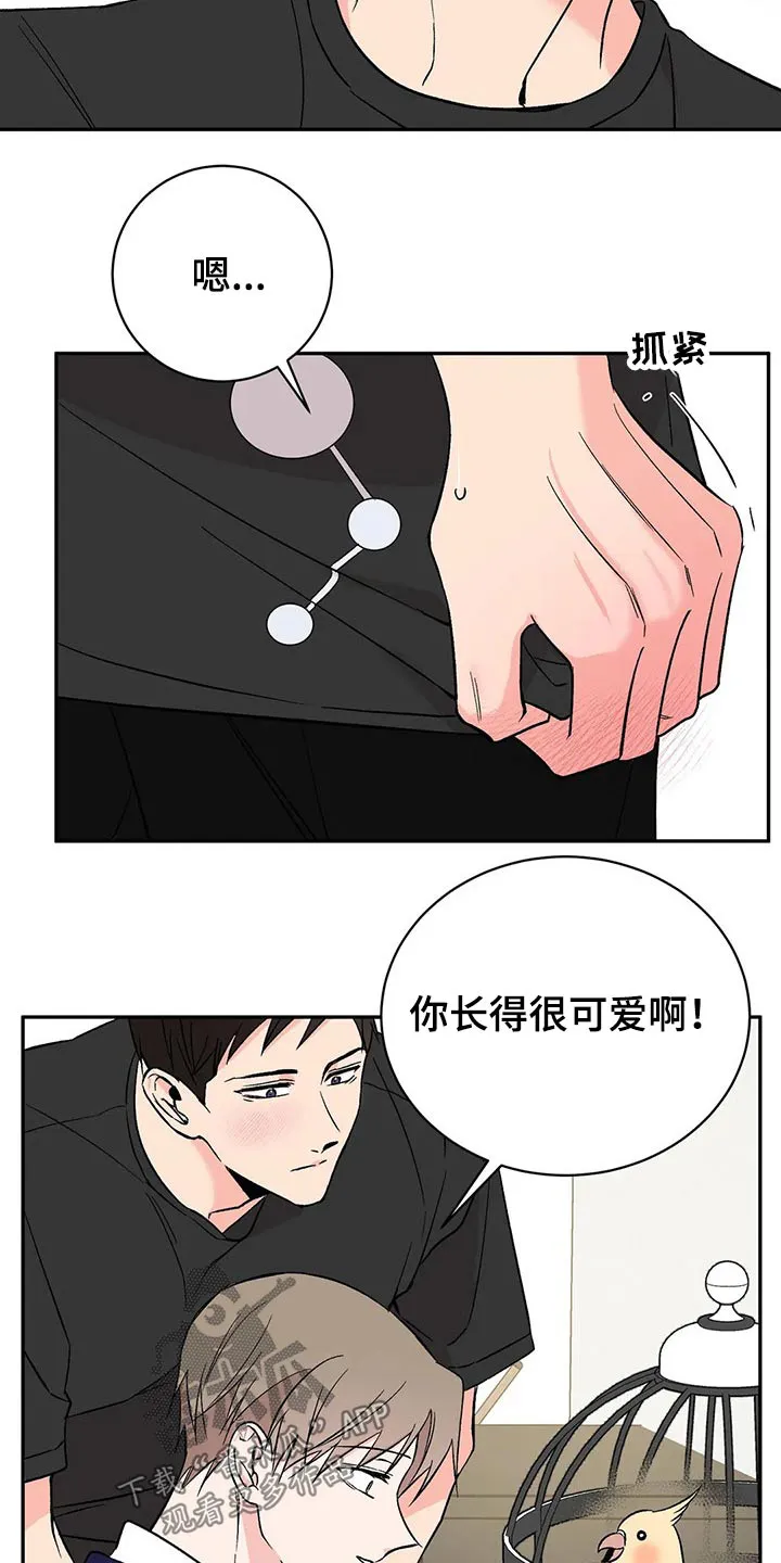 特性转变漫画漫画,第30章：鹦鹉15图
