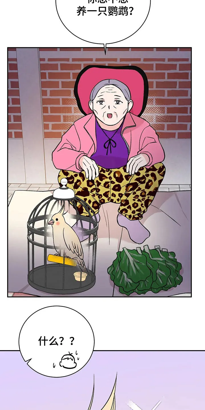 特性转变漫画漫画,第30章：鹦鹉3图