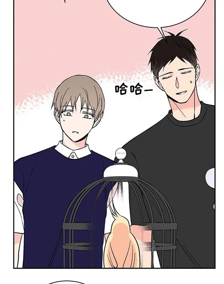 特性转变漫画漫画,第30章：鹦鹉11图