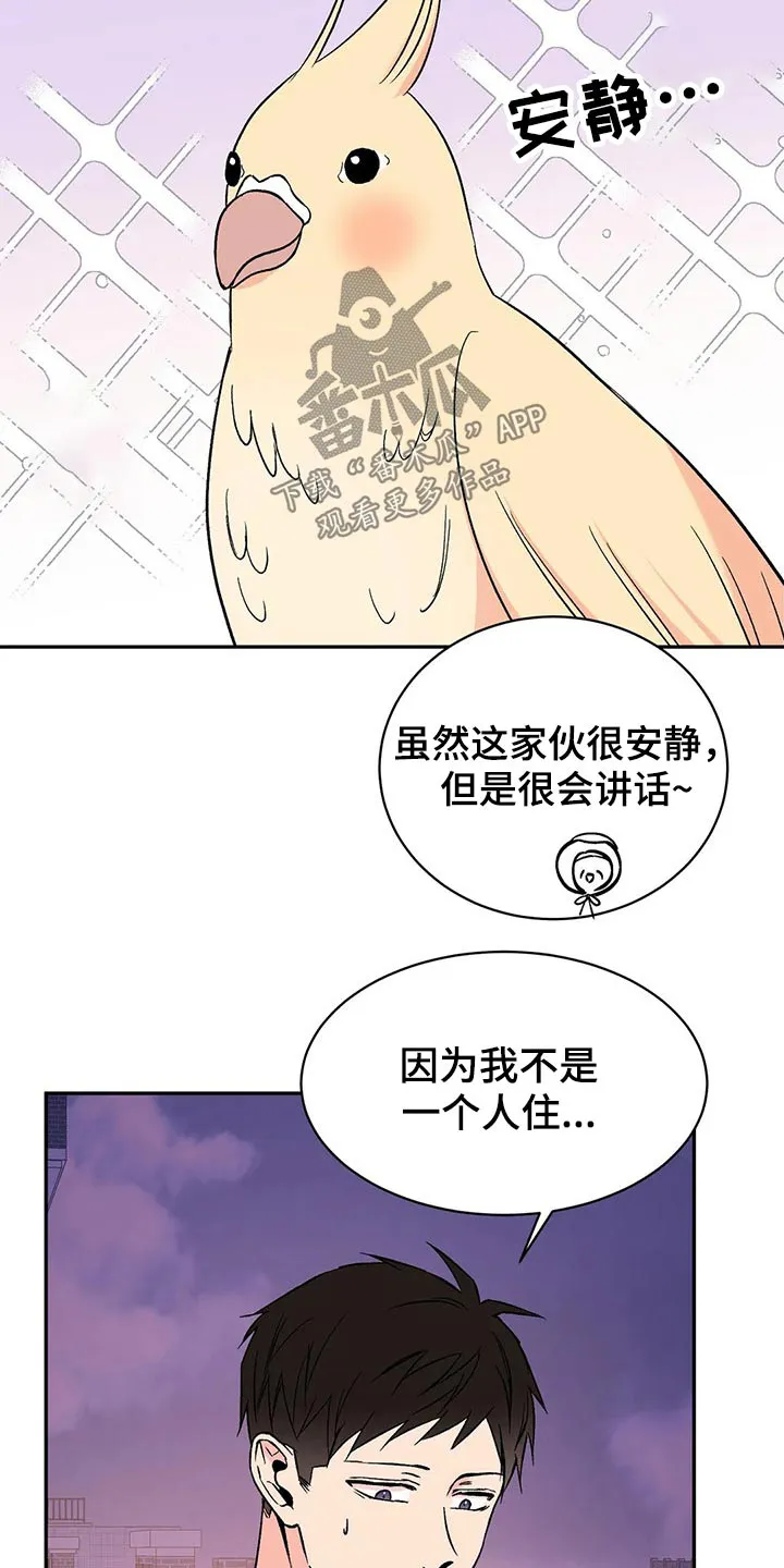 特性转变漫画漫画,第30章：鹦鹉4图
