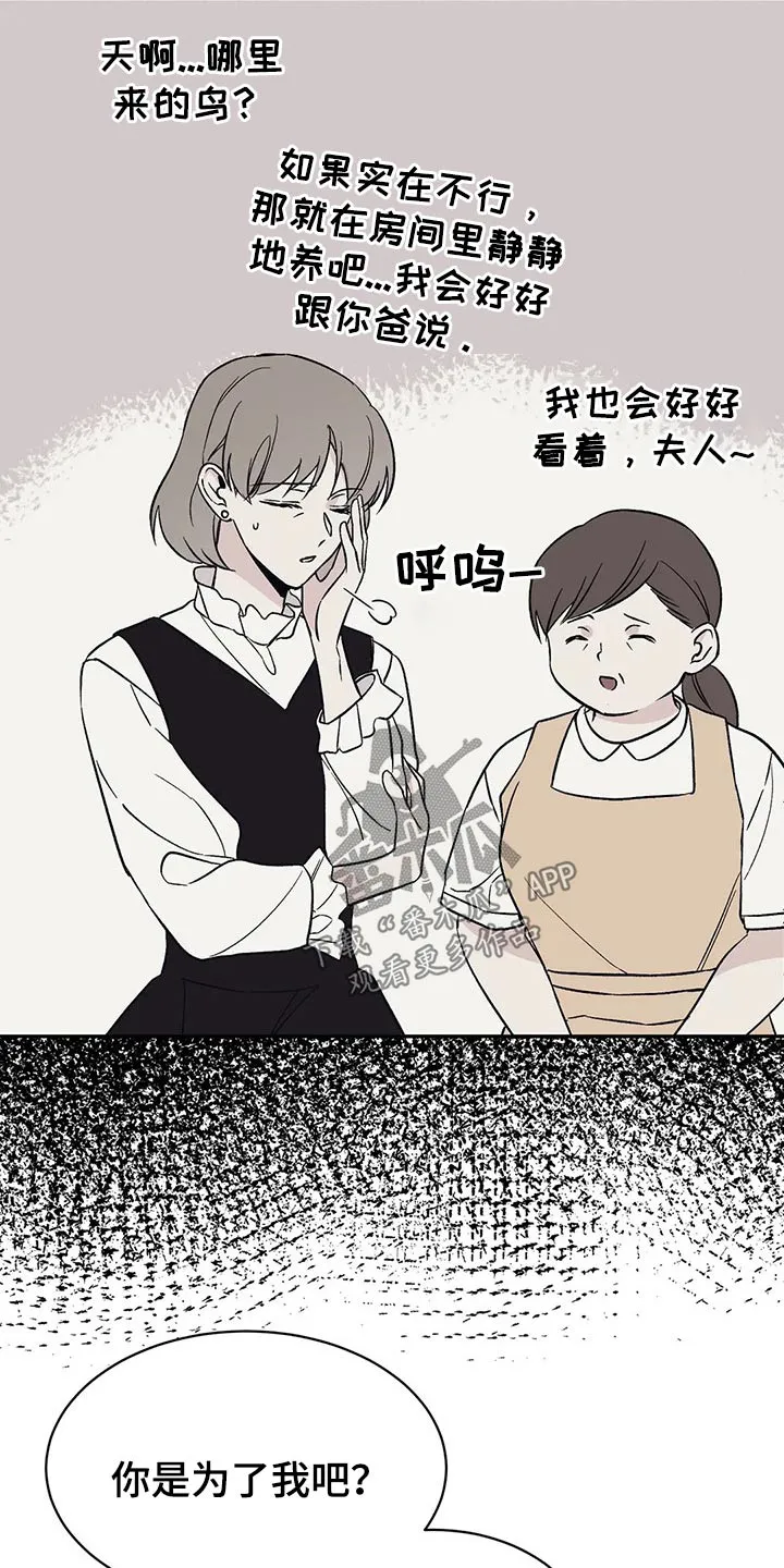 特性转变漫画漫画,第30章：鹦鹉13图