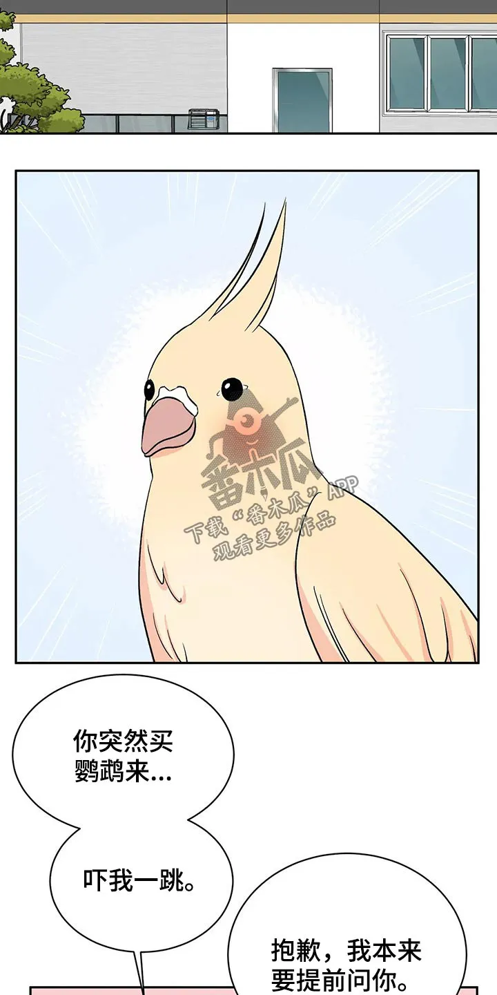 特性转变漫画漫画,第30章：鹦鹉10图