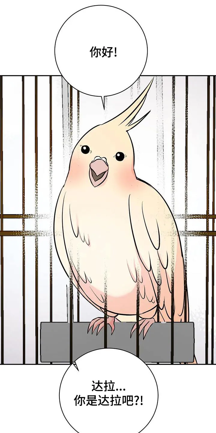 特性转变漫画漫画,第61章：介绍朋友10图
