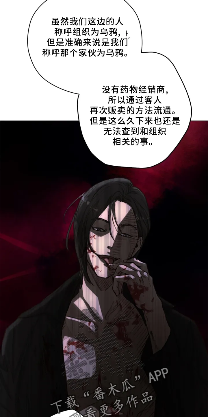 法医疑云漫画免费阅读资源漫画,第108章：【番外】乌鸦11图