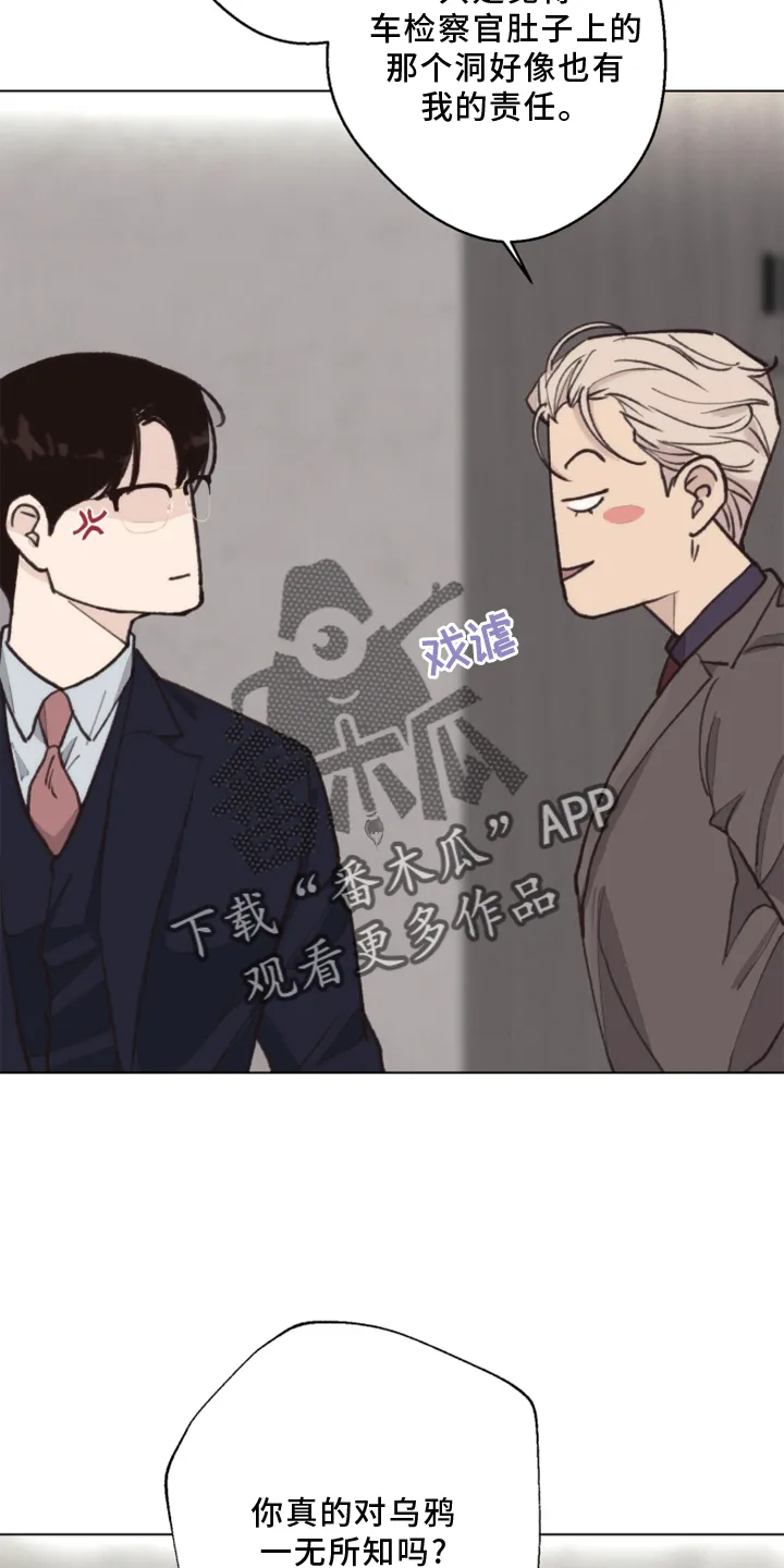 法医疑云漫画免费阅读资源漫画,第108章：【番外】乌鸦24图