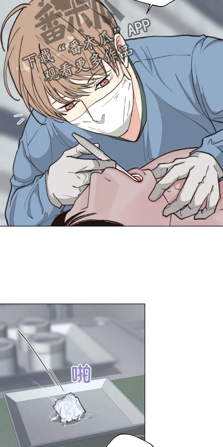 法医疑云漫画免漫画,第125章：【番外】解刨26图