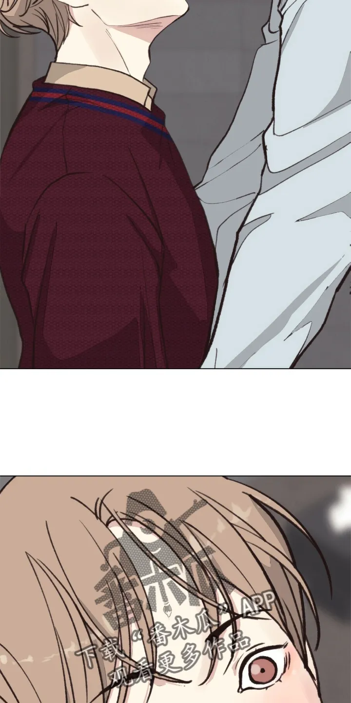法医疑云漫画免费阅读资源漫画,第111章：【番外】不变13图