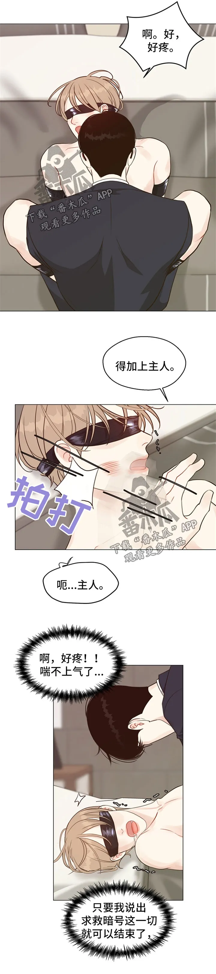 法医疑云漫画免费阅读资源漫画,第55章：【番外】结束了1图