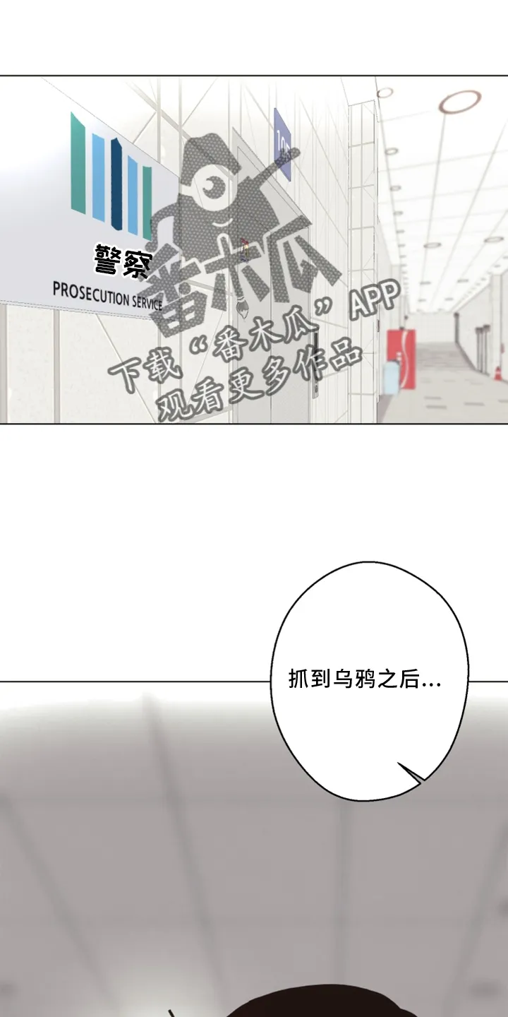 法医疑云漫画免费阅读资源漫画,第108章：【番外】乌鸦20图
