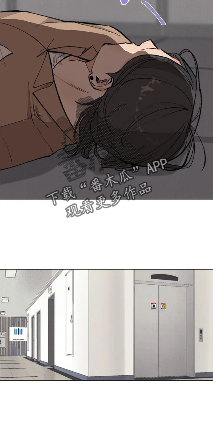 法医疑云漫画免费阅读资源漫画,第128章：【番外】结束23图