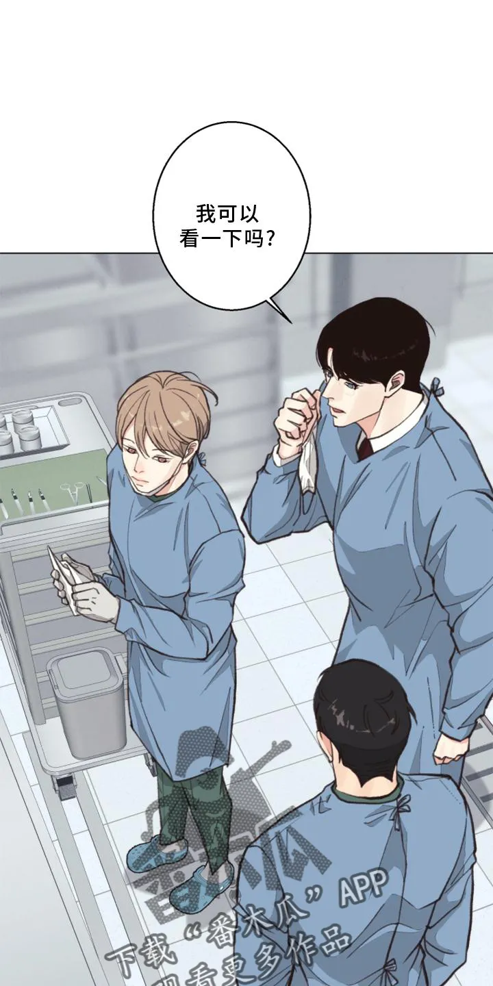 法医疑云漫画免漫画,第125章：【番外】解刨28图