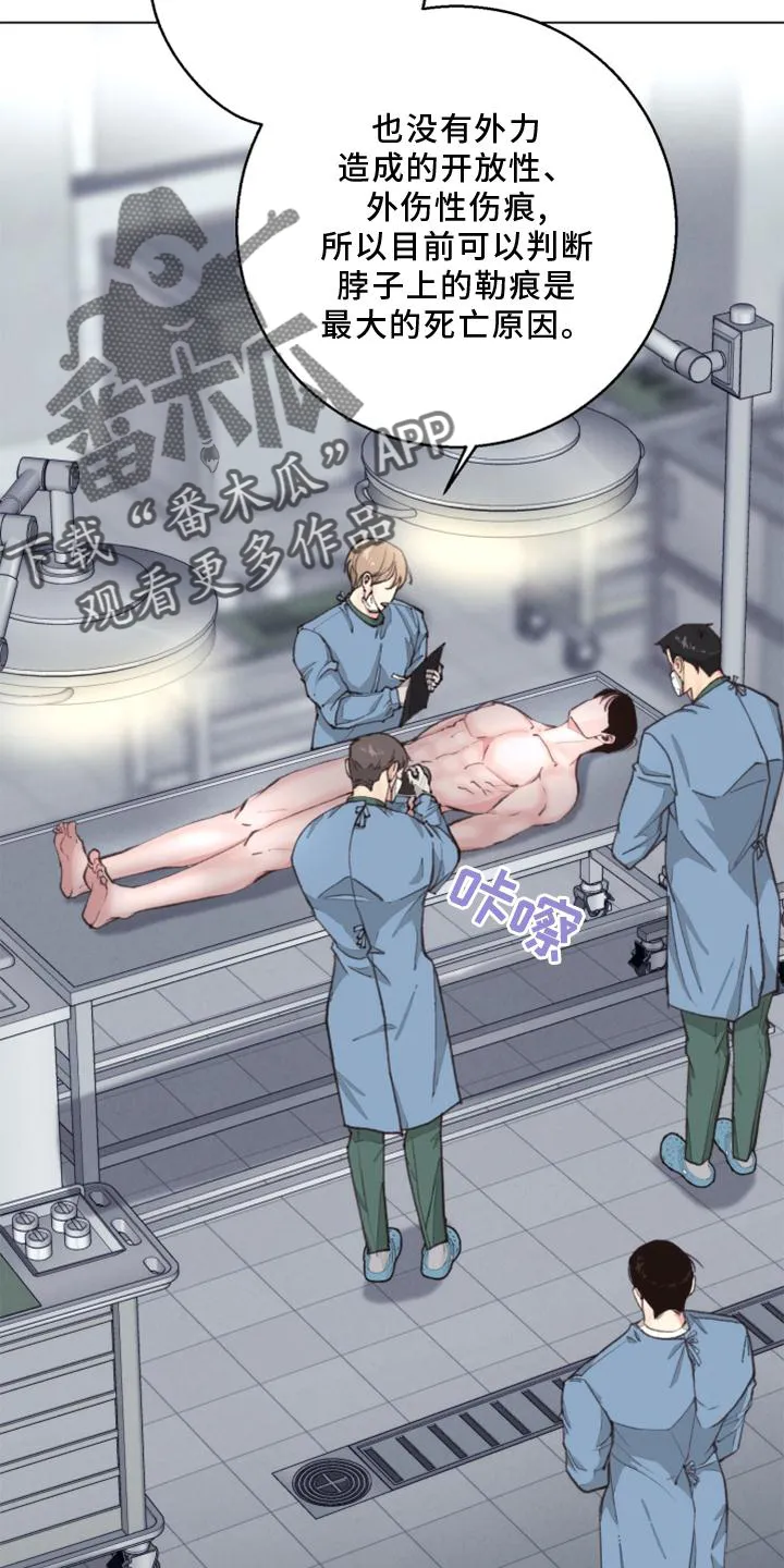 法医疑云漫画免漫画,第125章：【番外】解刨19图