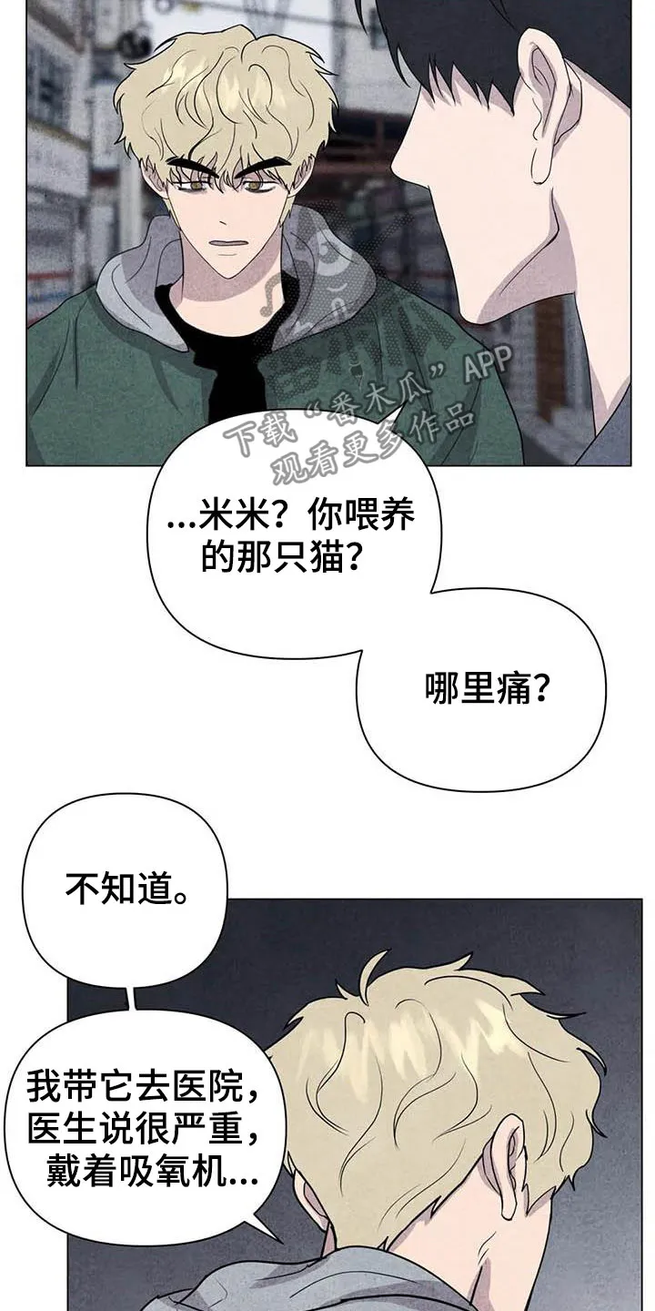 九尾狐断尾救灵草漫画漫画,第31章：收拾残局17图