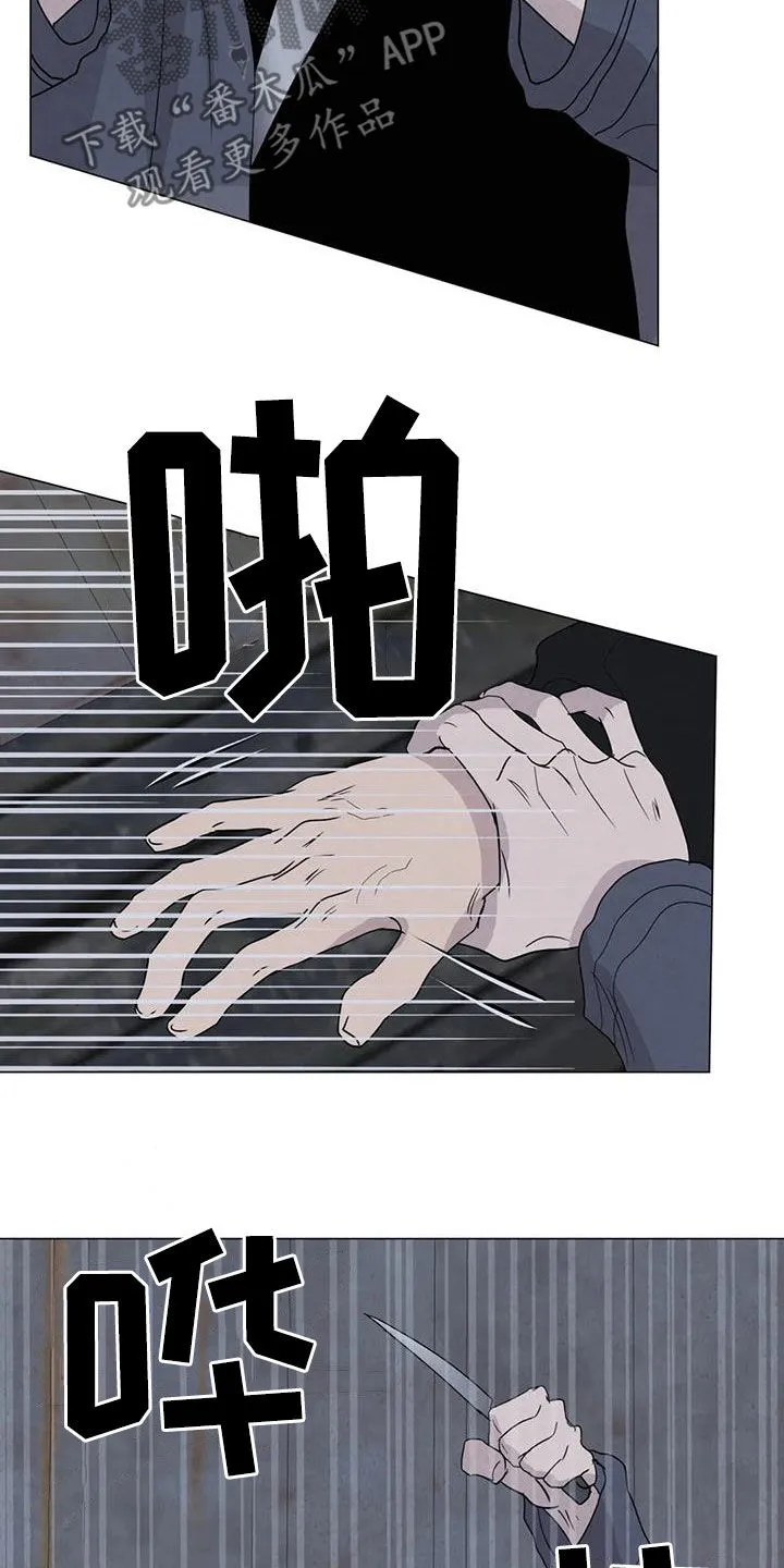 断尾求生漫画漫画,第65章：【第二季】内情16图