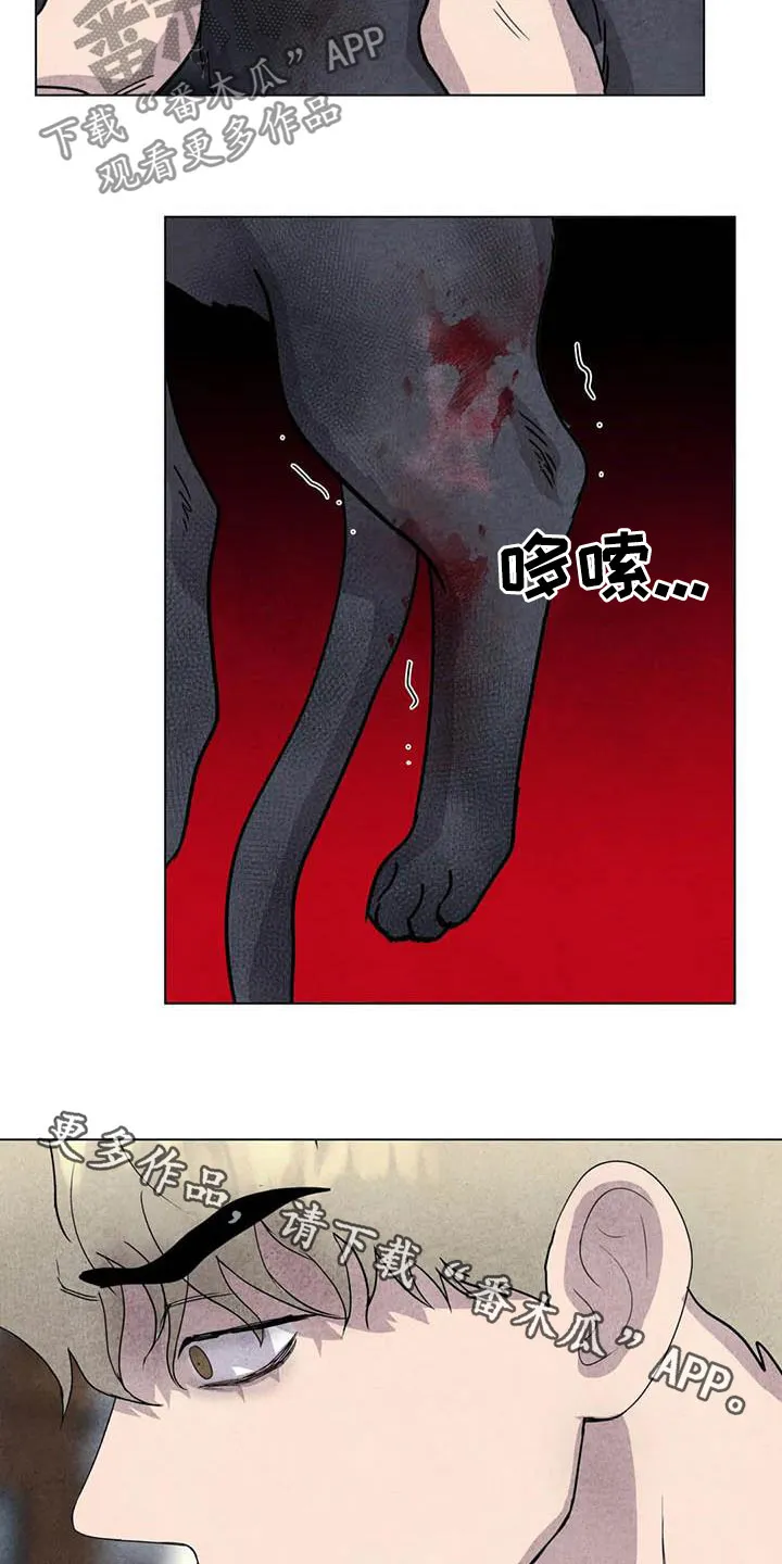 开挂求生漫画漫画,第30章：米米受伤16图