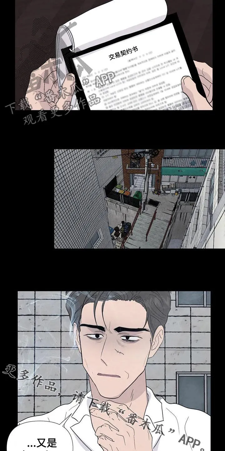 断尾小说txt漫画,第98章：【第二季】答案23图