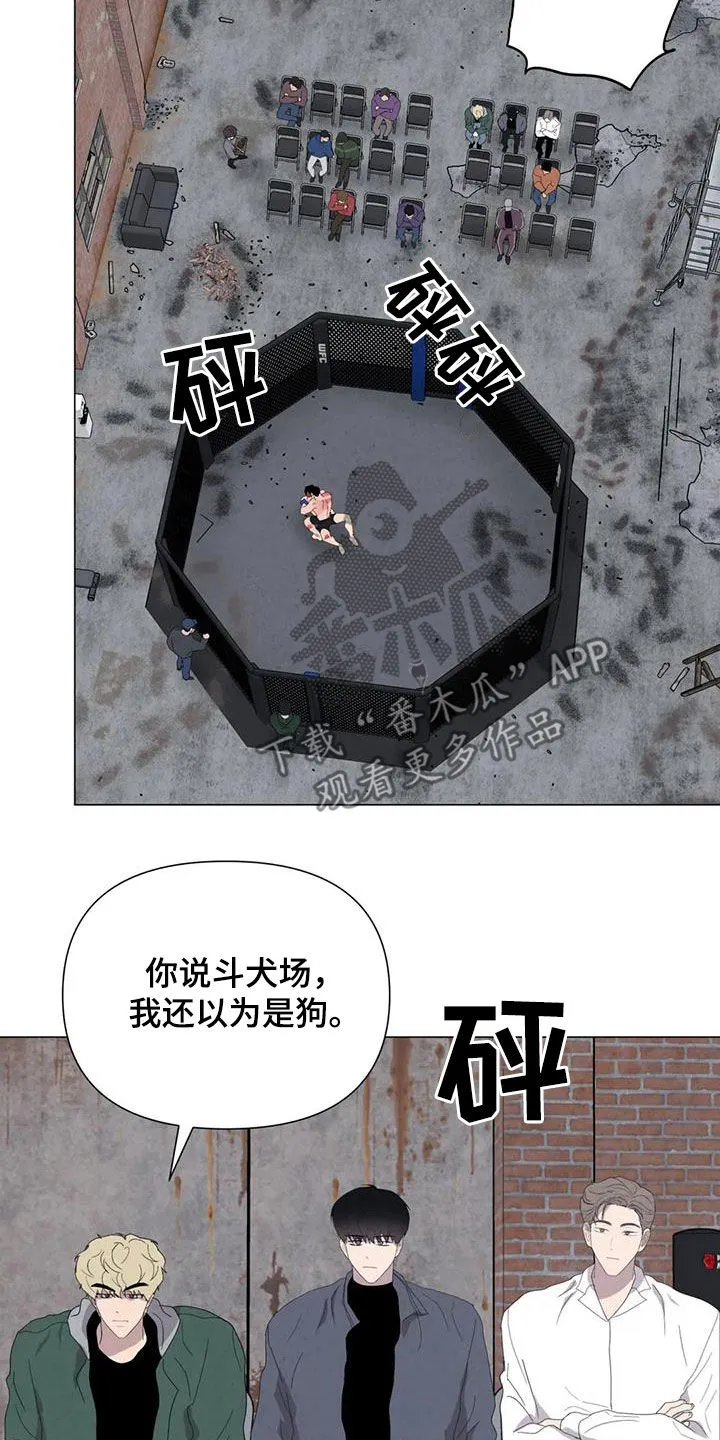 断尾小说txt漫画,第49章：斗犬场4图