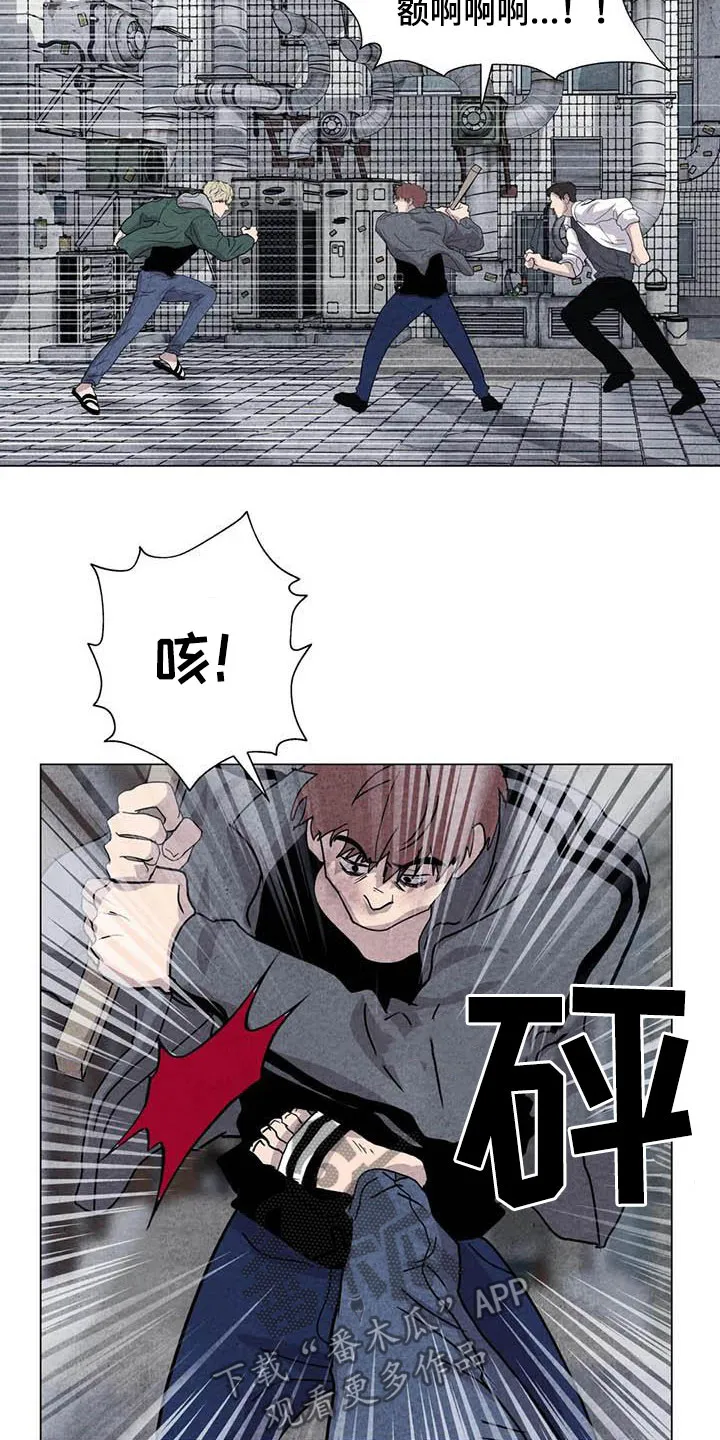 开挂求生漫画漫画,第32章：打架12图