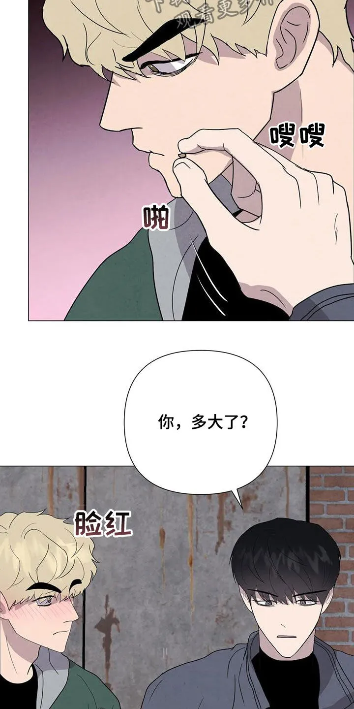 断尾小说txt漫画,第49章：斗犬场17图