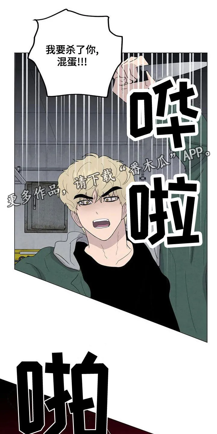 岛上求生漫画漫画,第76章：【第二季】葬礼1图