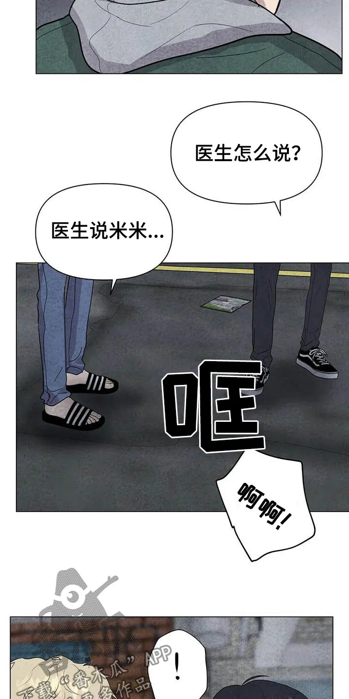九尾狐断尾救灵草漫画漫画,第31章：收拾残局18图