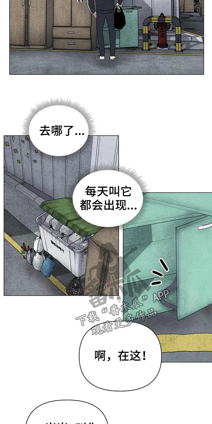 开挂求生漫画漫画,第30章：米米受伤14图