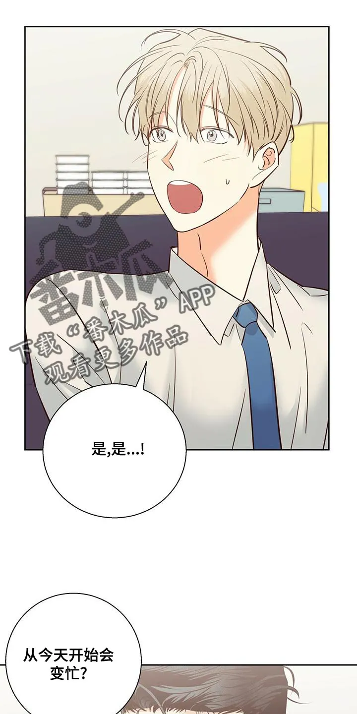 危险便利店漫画英语漫画,第165章：【第二季】繁忙的工作16图