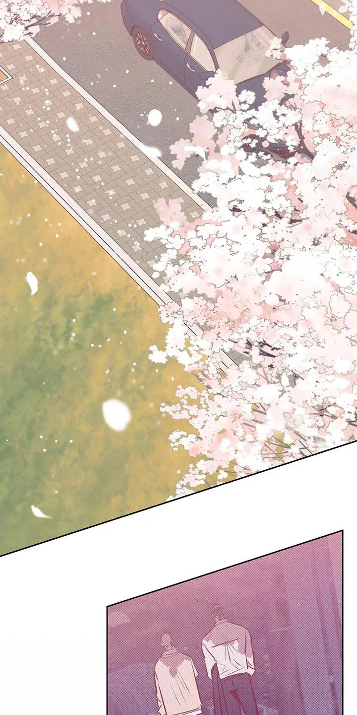 危险便利店漫画无遮挡漫画,第174章：【第三季】天气真好32图