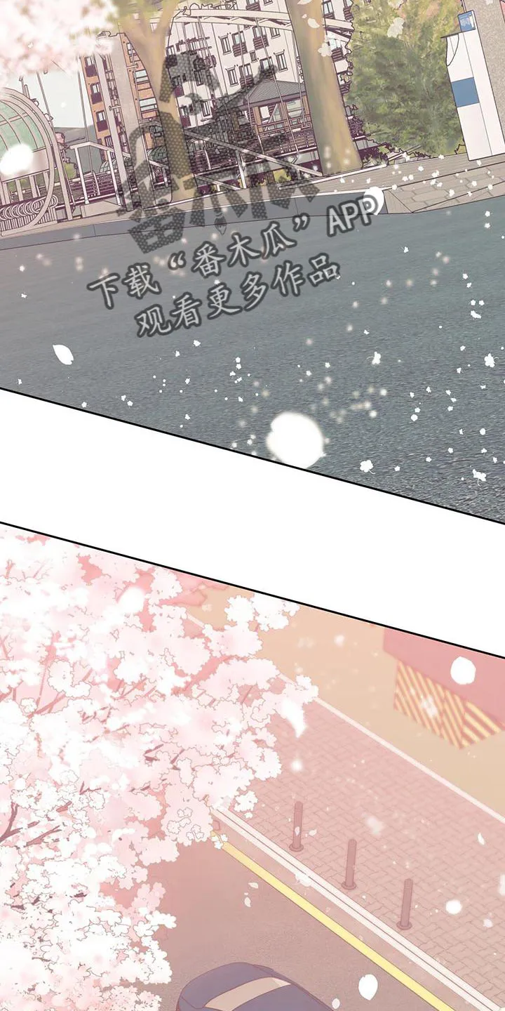 危险便利店漫画无遮挡漫画,第174章：【第三季】天气真好31图