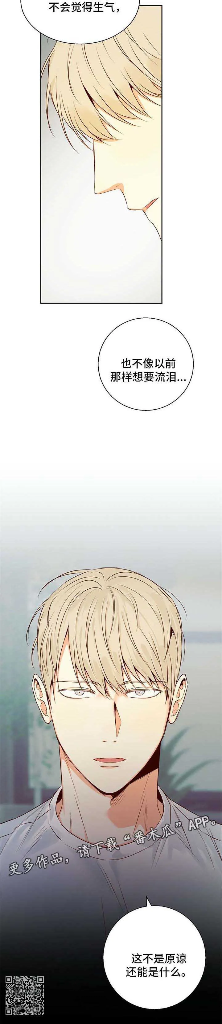 危险便利店漫画无遮挡漫画,第33章：原谅你了13图