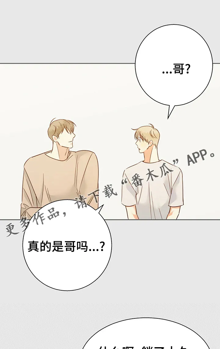 危险便利店漫画英语漫画,第100章：【第二季】怎样都喜欢1图
