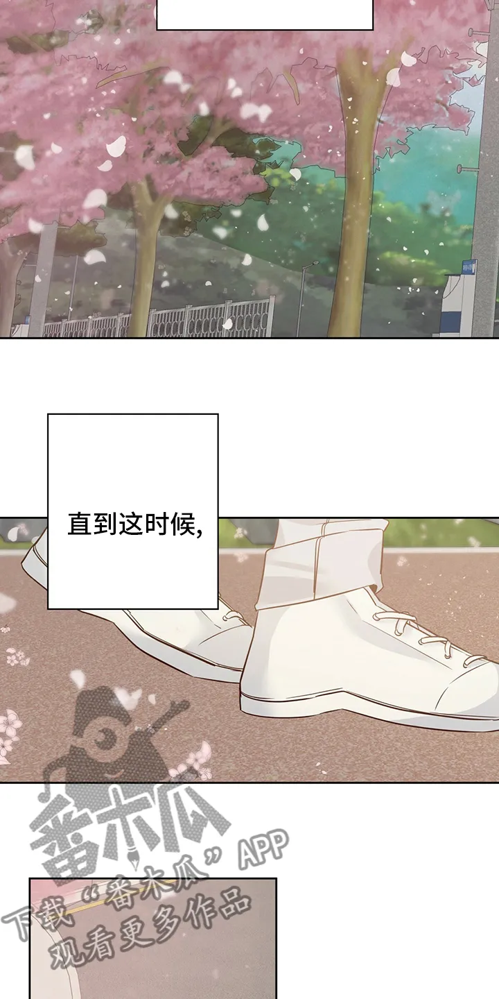 危险便利店漫画是从哪年的漫画,第113章：【第二季完结】消失23图