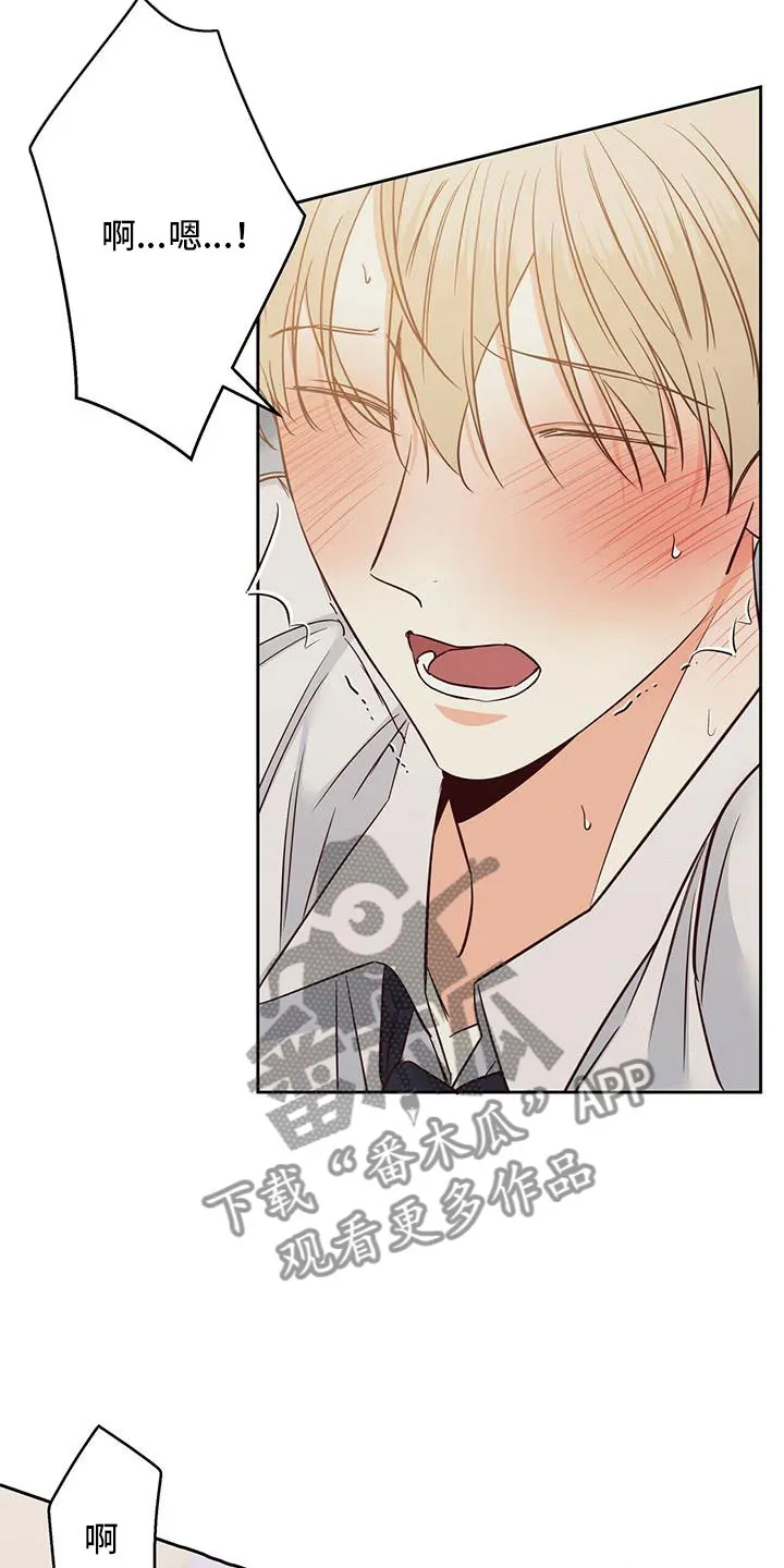 危险便利店漫画无遮挡漫画,第147章：【第三季】不可以13图