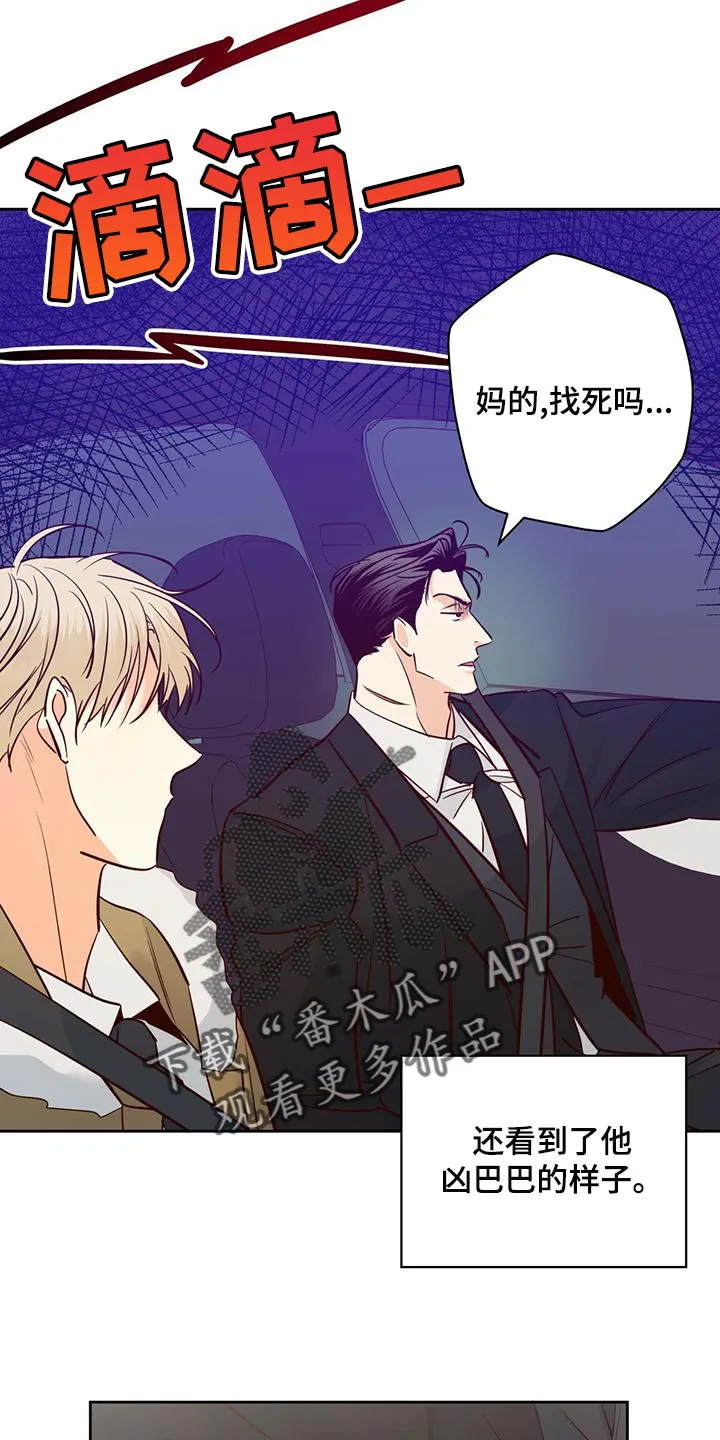 危险便利店38话漫画,第158章：【第三季】情人眼里出西施10图