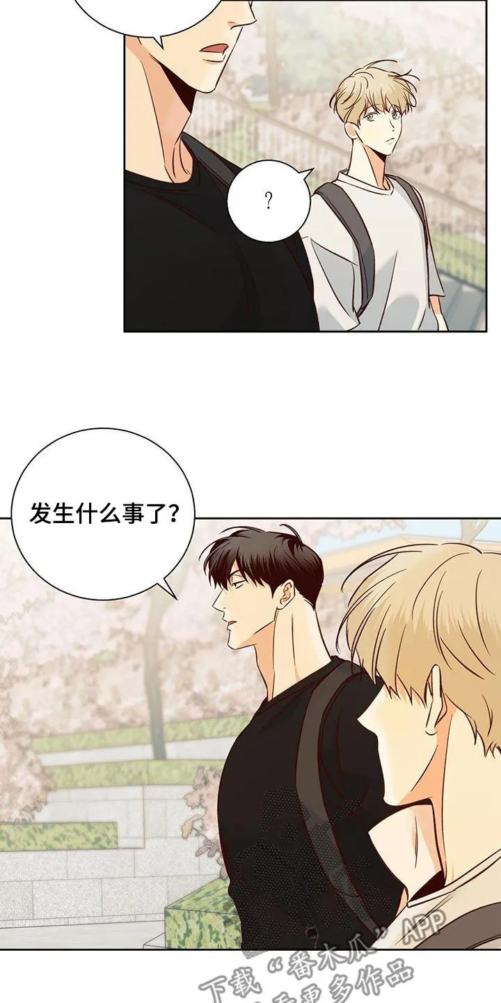 危险便利店漫画免费观看25章漫画,第187章：【番外】注定的结局17图