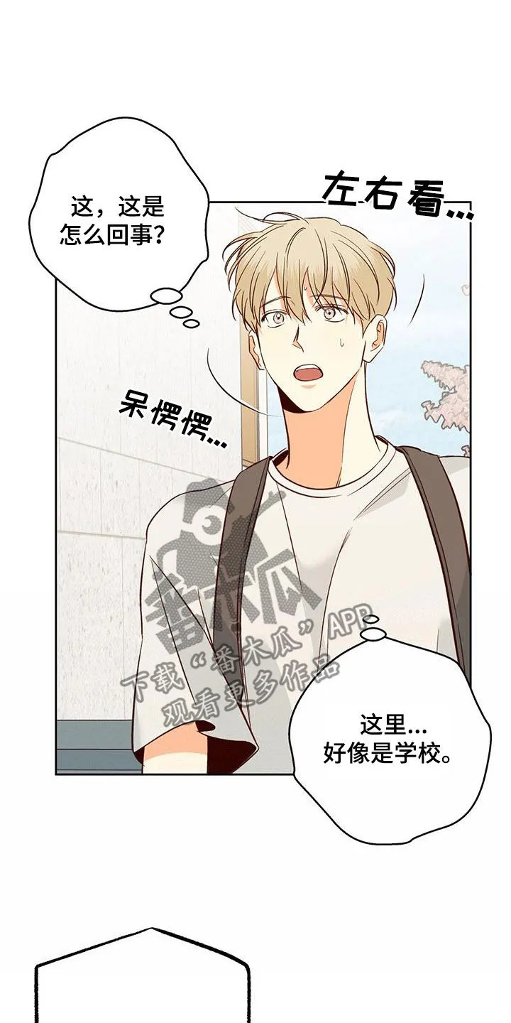 危险便利店漫画免费下拉式漫画,第185章：【第四季】校园17图