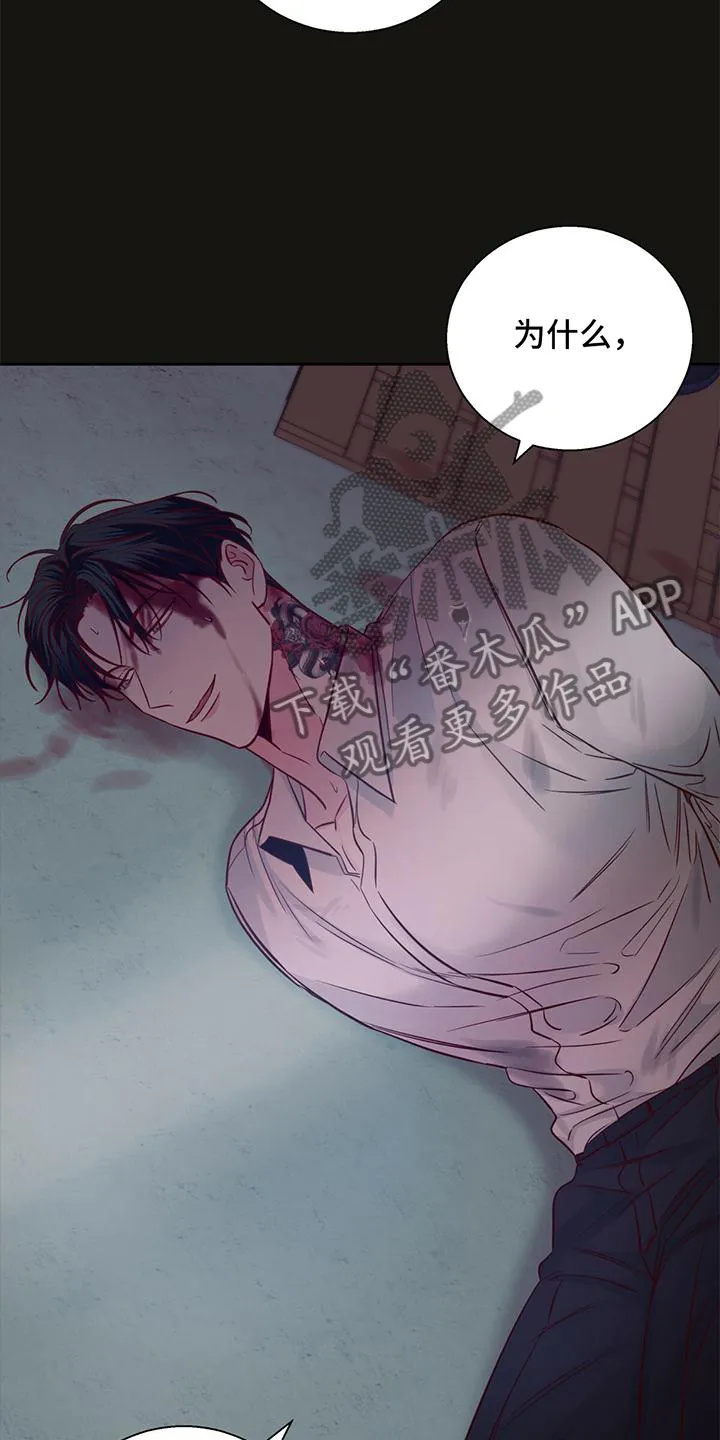 危险便利店名字漫画,第139章：【第三季】放过6图