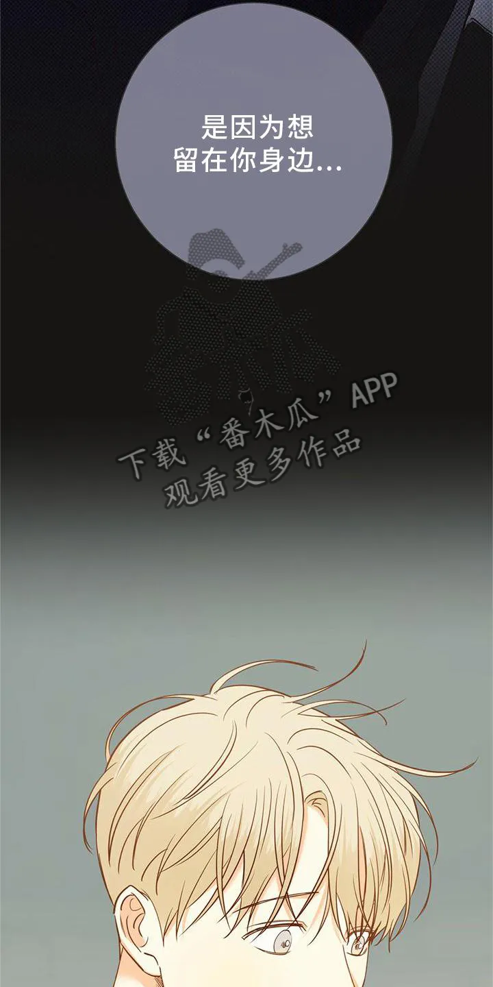 危险便利店漫画免费下拉式漫画,第153章：【第三季】选择16图