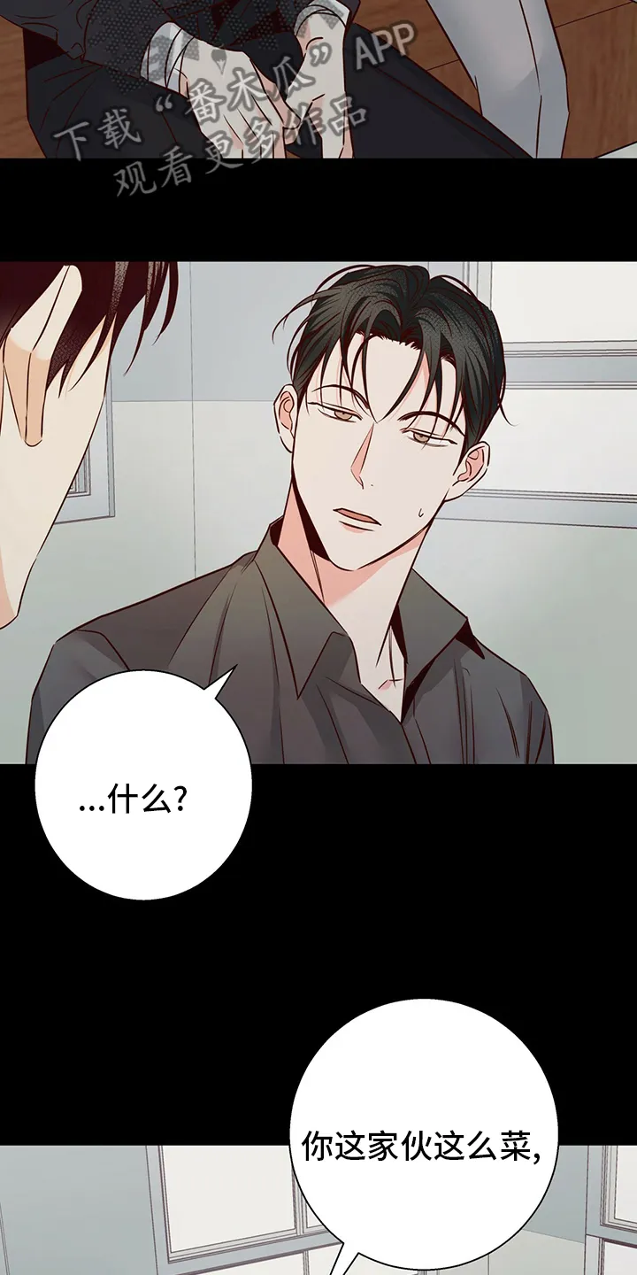 危险便利店漫画是从哪年的漫画,第116章：【番外】身不由己4图